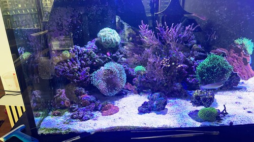 IMG_6360.jpeg