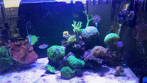 IMG_6362.jpeg