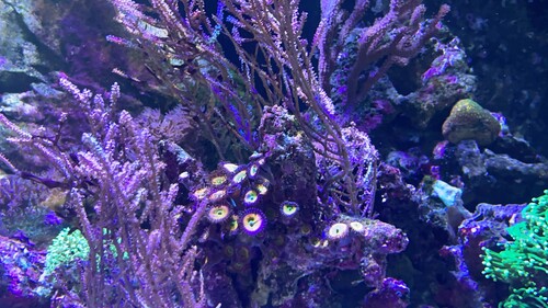 IMG_6369.jpeg