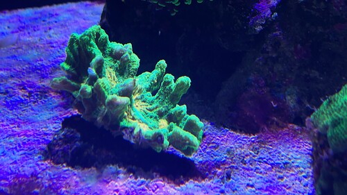 IMG_6395.jpeg