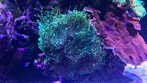 IMG_6401.jpeg