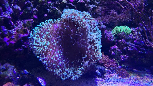 IMG_6407.jpeg