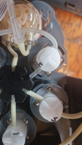 Trident_Switch4.jpg