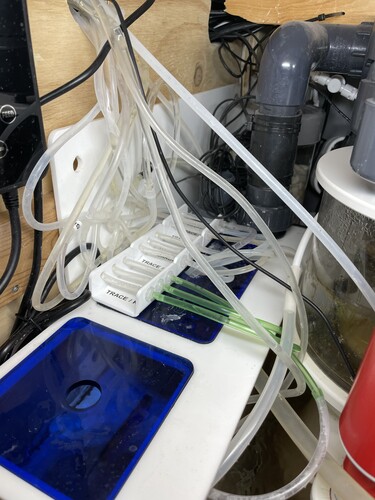 The chaos