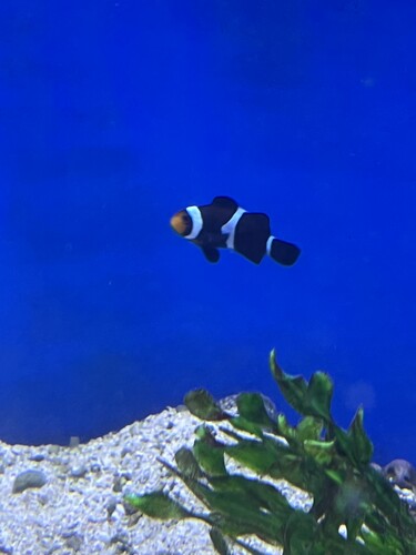 IMG_6822.jpeg
