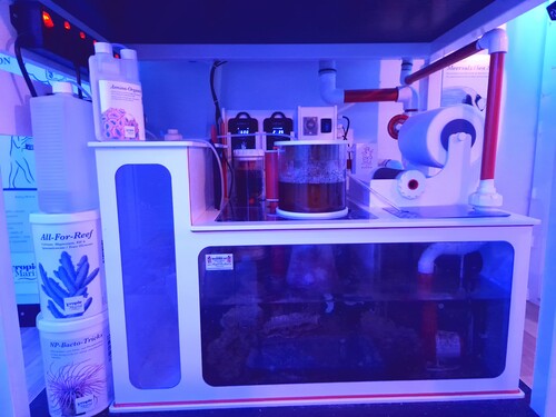 20250101_160458.jpg