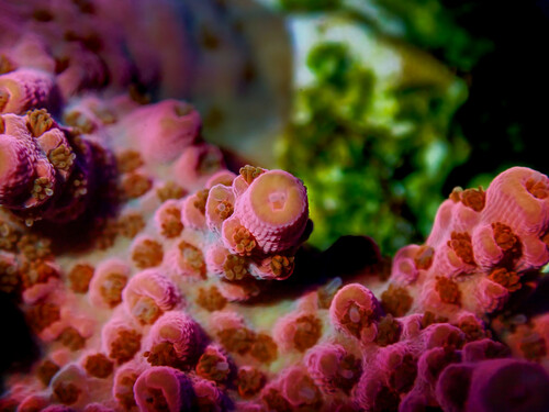 P1060037-2.jpg