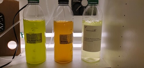 20250122_151411.jpg