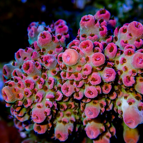P1200001.jpg