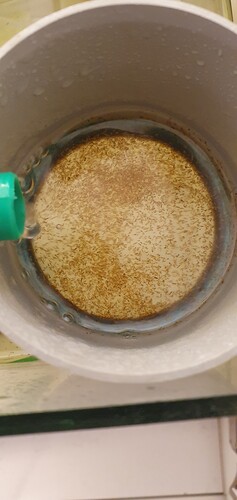 20250126_203121.jpg