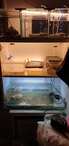 20250127_193055.jpg