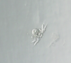 20250201_15_39_27.png