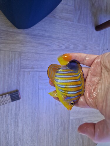 20250208_120405.jpg