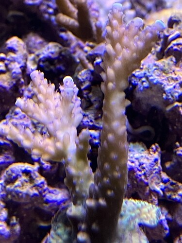 IMG_2608.jpeg