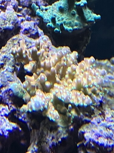 IMG_2602.jpeg
