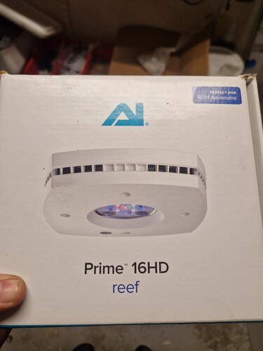 20250211_220508.jpg
