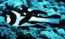 IMG_1115.jpeg