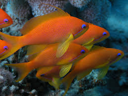 IMG_1111.jpeg