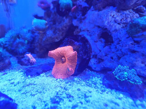 20250223_103201.jpg