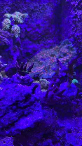 IMG_7606.jpeg