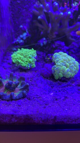 IMG_7600.jpeg