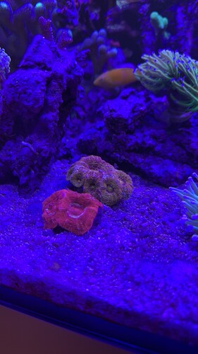 IMG_7598.jpeg