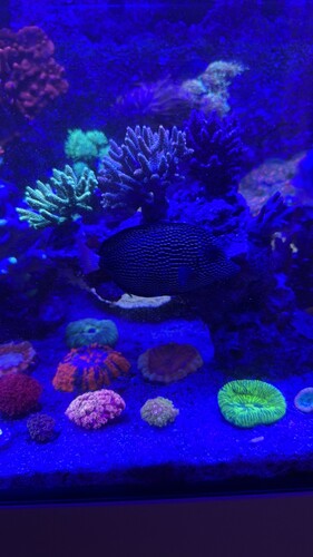 IMG_7757.jpeg