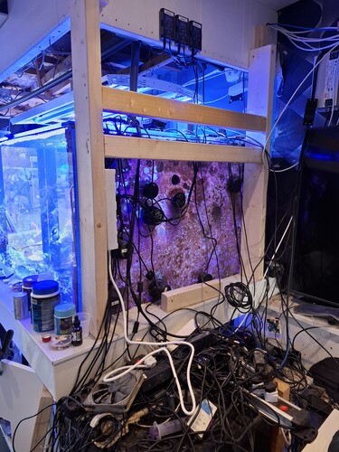20250404_173414.jpg