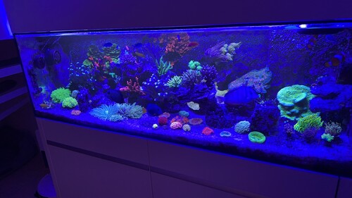 IMG_7805.jpeg
