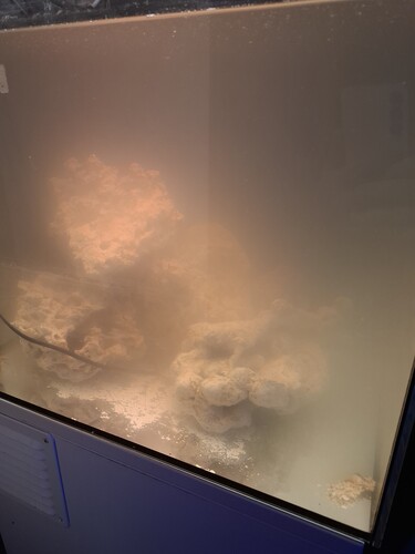 20250425_220255.jpg