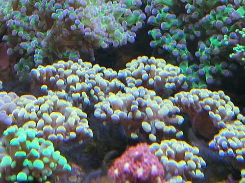 20250420_123229.jpg