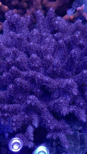 IMG_5145.jpeg