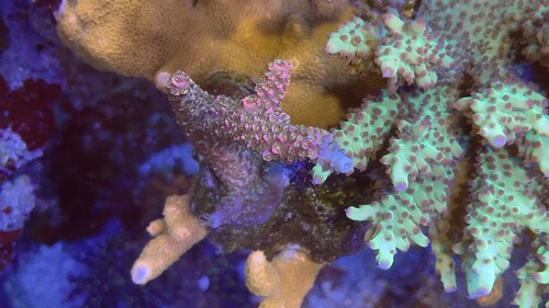 IMG_5183.jpeg