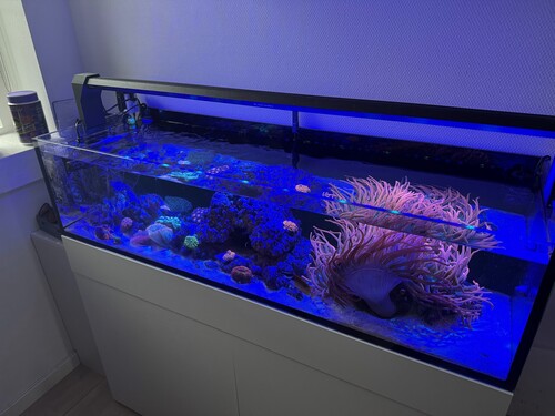 Akvarie 4.jpg