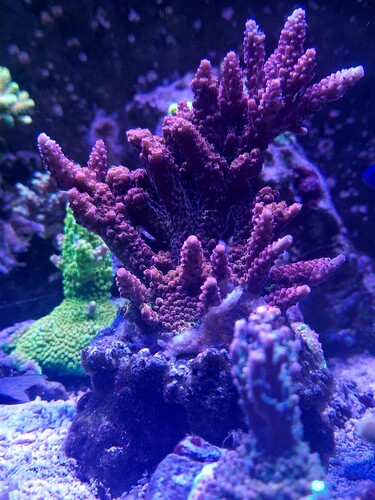 20250604_105721.jpg