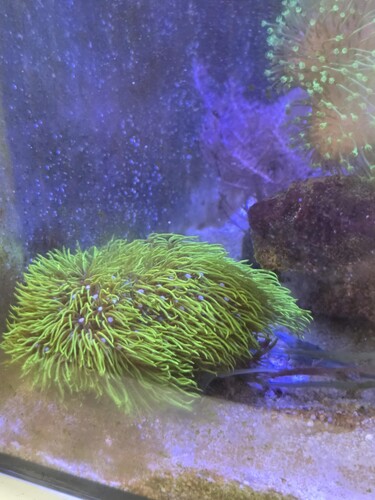 27748eae-f8d9-4c9f-8618-31d8b4fa5ec9.jpeg