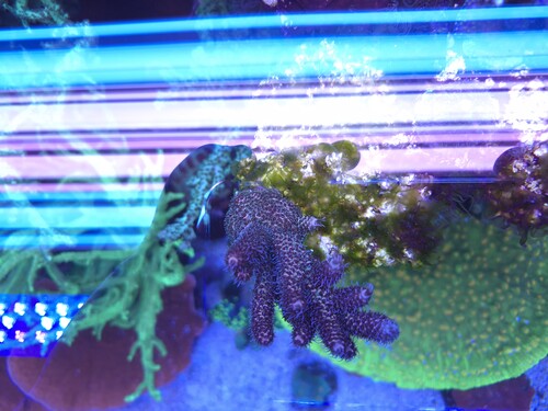 20251028_143651.jpg