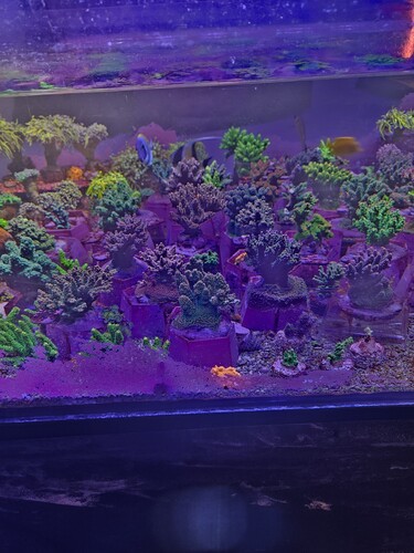 20251102_121010.jpg