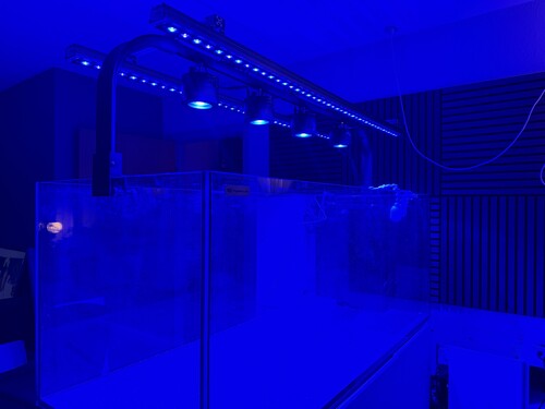 IMG_0183.jpeg
