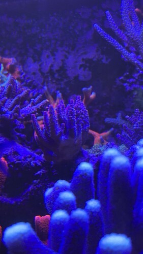 IMG_9854.jpeg