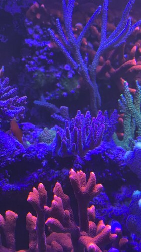 IMG_9855.jpeg