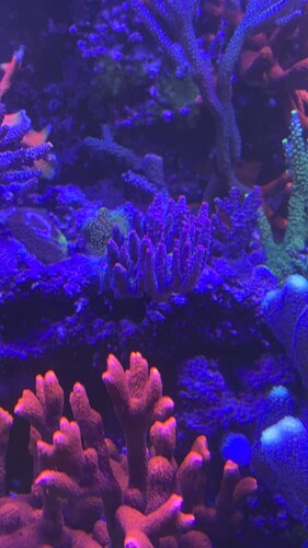 IMG_9856.jpeg