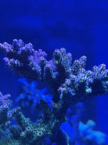IMG_0198.jpeg