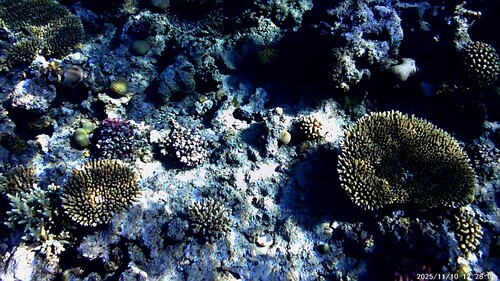 egypten 01 (2).jpg