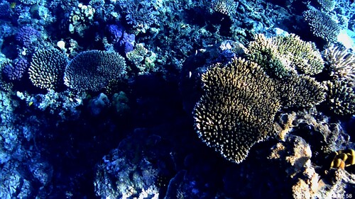 egypten 01 (3).jpg
