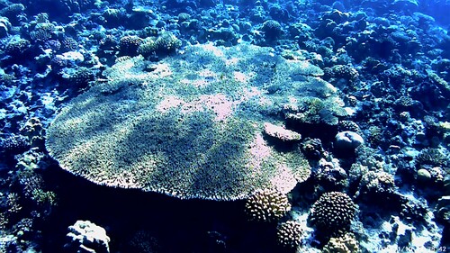 egypten 01 (4).jpg