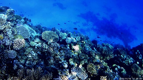 egypten 01 (6).jpg