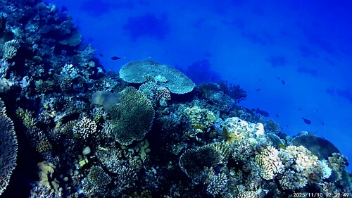 egypten 01 (7).jpg