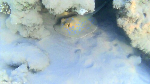 egypten 01 (8).jpg
