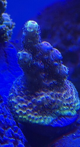IMG_0219.jpeg